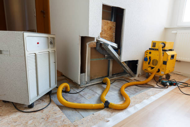 Dehumidification Services in New Hope, MS